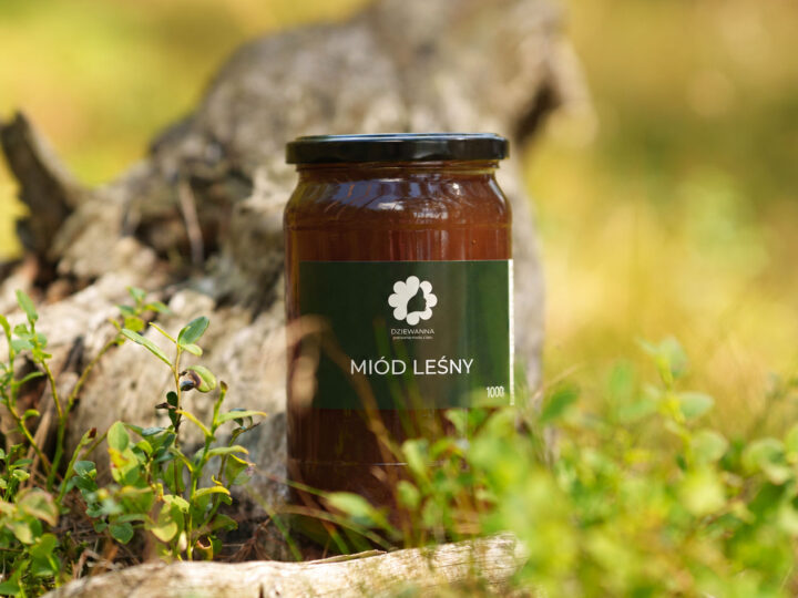 Miód leśny czyli jaki ?– co decyduje o jego smaku, kolorze i właściwościach?
