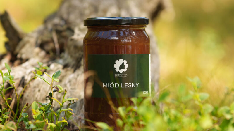 Miód leśny czyli jaki ?– co decyduje o jego smaku, kolorze i właściwościach?